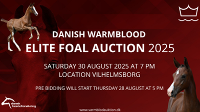 Banner Eliteauktion2025 300 X220