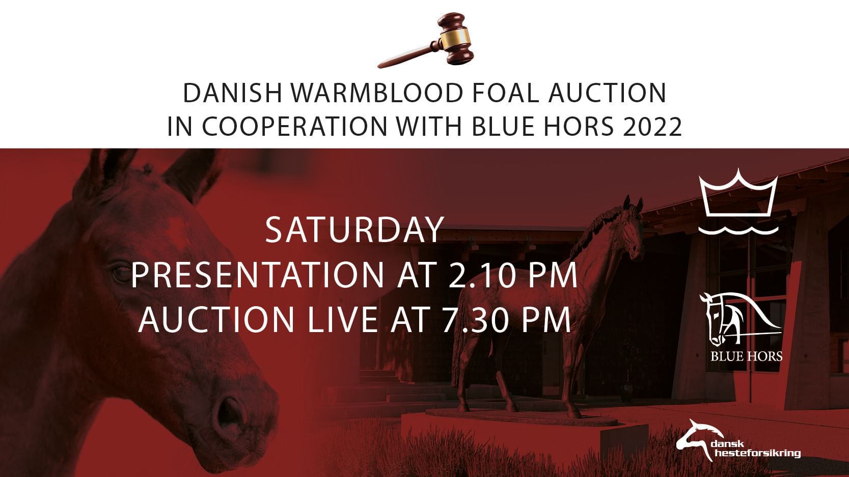 Blue Hors Bannere222