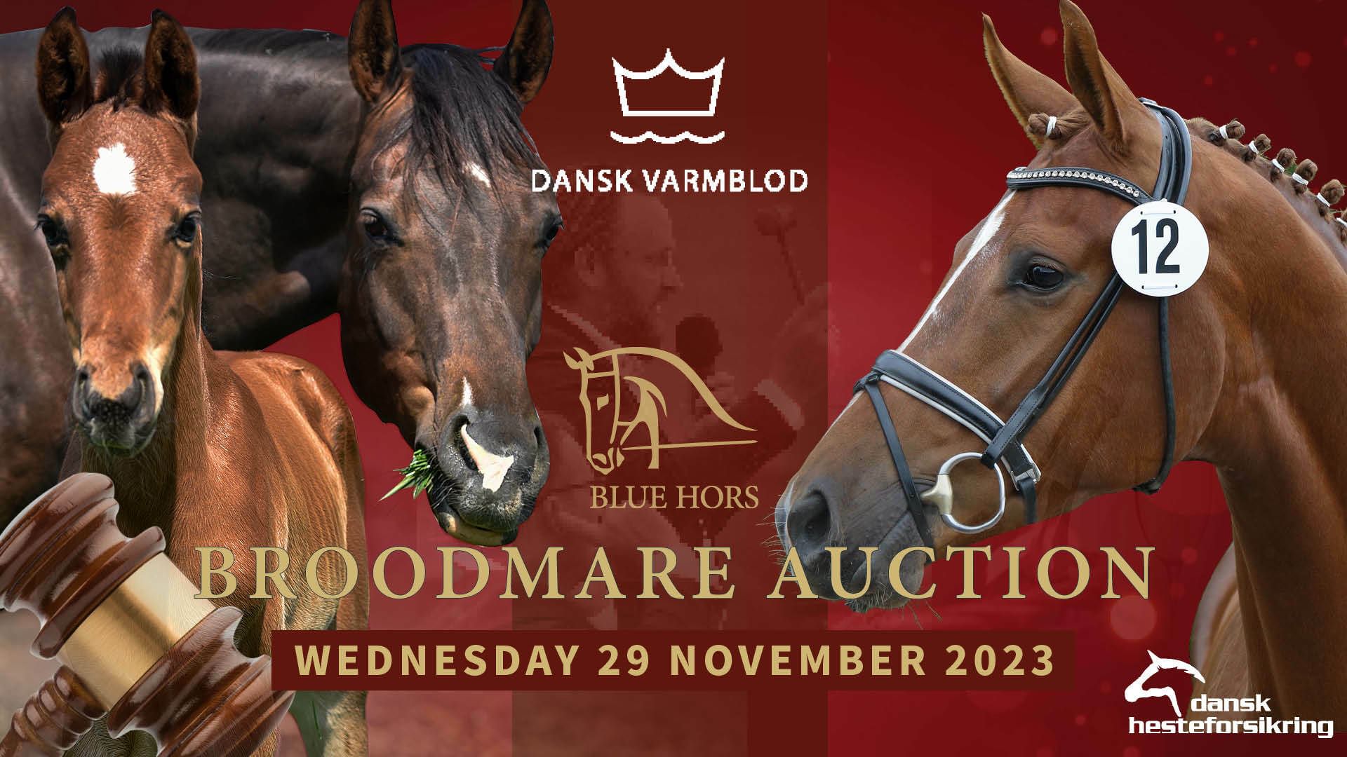Broodmare Auction