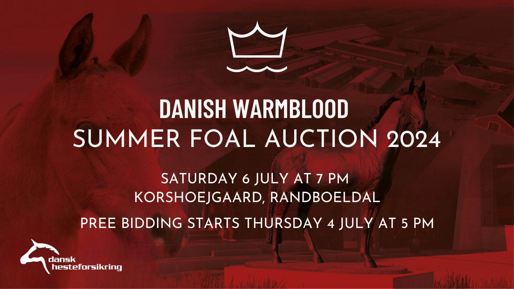 DANISH WARMBLOOD SUMMER FOAL AUCTION 2024 1