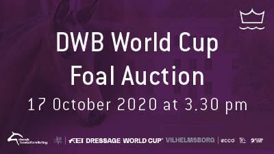 DWB WC Foal Auction 400x225px
