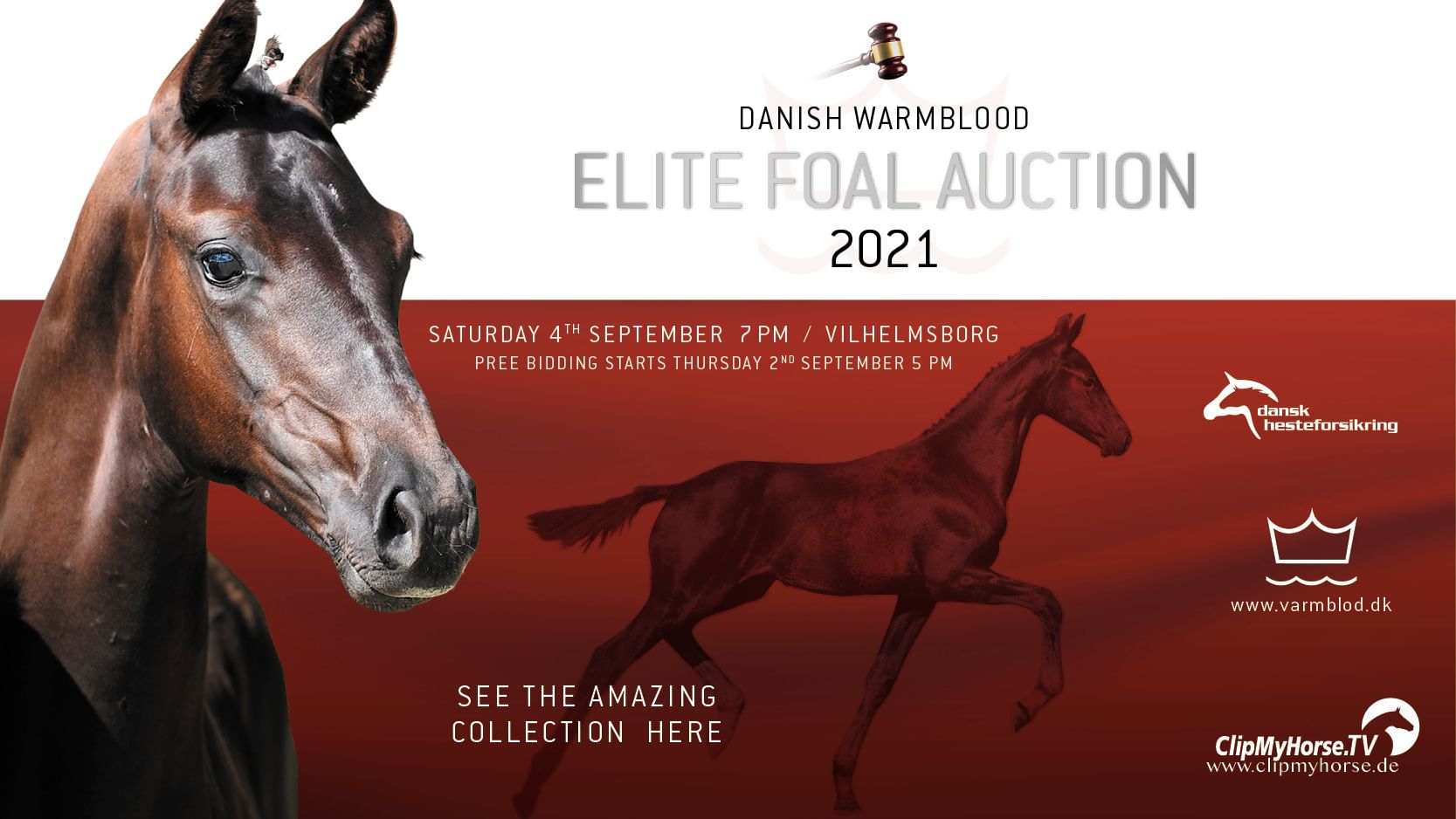 Elite Foal Auction 400x225px