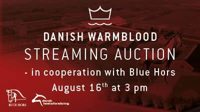 Elite Foal Auction 400x225px