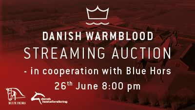 Elite Foal Auction 400x225px