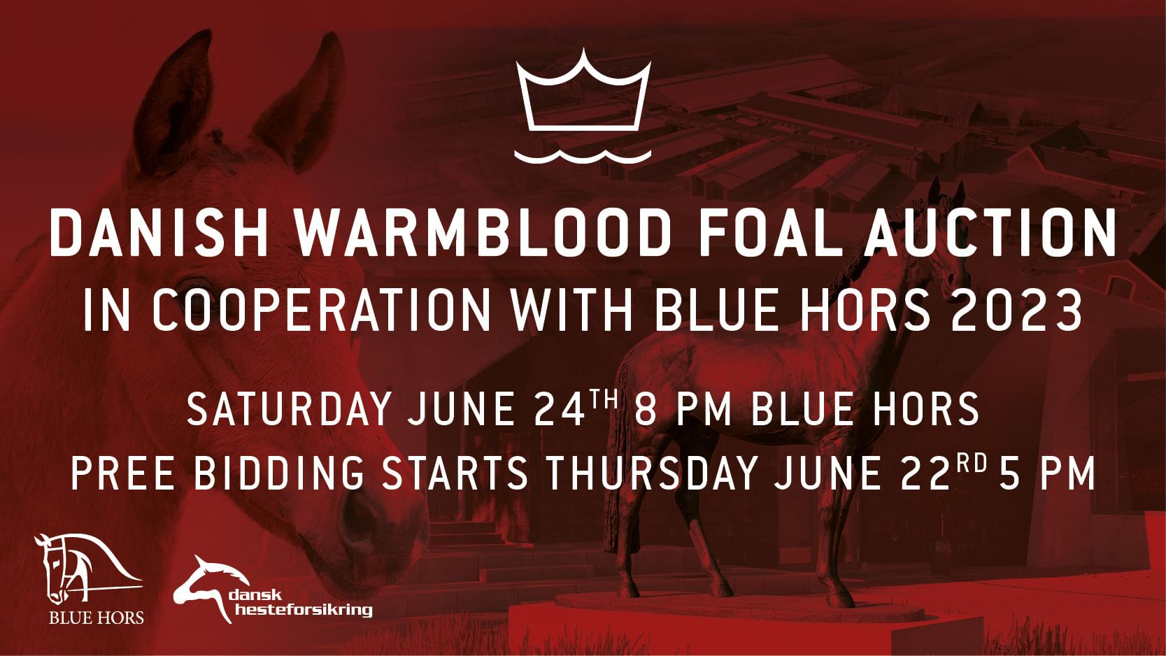 Elite Foal Auction 23 400x225px EN