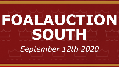 Følauktion south